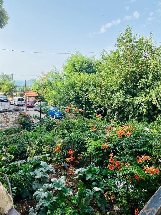 Apartamento Ortansia Dimitsana Exterior foto